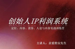 创始人IP利润系统8月训练营,定位、内容、获客、人设与内容实战训练营-第一资源库