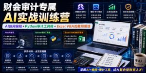 财会审计专属AI实战训练营|AI协同编程+Python审计工具箱+Excel VBA加载项落地(更新0816)-第一资源库