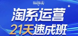 淘系运营21天速成班,0基础轻松搞定淘系运营,不做假把式,快速复制落地(更新26年8月)-第一资源库