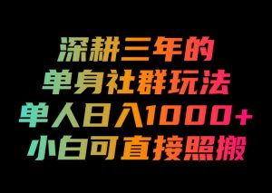 深耕三年的单身社群玩法,单人日入1000+,小白可直接照搬!【揭秘】-第一资源库