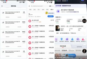 外面卖299的爆款二创配音情感语录教学,一个作品20分钟左右,伙伴计划+剪映拉新+收徒等多种收益-第一资源库