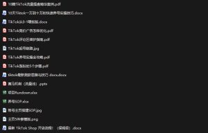 TikTok从0-1实操资料包:养号SOP+爆款公式+投流手册,新手30天可起号变现,抓住TikTok流量红利-第一资源库