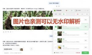 太香了!这款千问视频/图片去水印神器,一键搞定烦人水印,本地完全免费,浏览器拓展插件-第一资源库