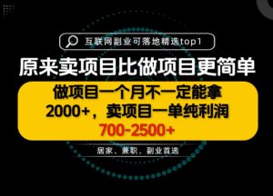一单利润700-2.5K+,为什么我们要卖项目而不是做项目,我们普通人应该怎样开始?【揭秘】-第一资源库