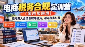 电商税务合规实训营(国内加跨境),教电商人合法合规降税负,避开税务红线-第一资源库