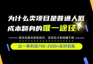 普通人如何靠互联网賺取自己的第一桶金!全类目实操型教学,看完你全都懂了!【揭秘】-第一资源库