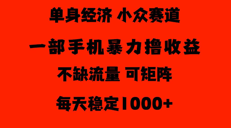 26年暴力单身经济，稳定日入500-1k，不缺流量，流量极大，冷门小众赛道，门槛低小白轻松上手【揭秘】-第一资源库