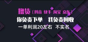 抖音淘宝快手买手项目,一单利润20左右,单号每天下三单,可矩阵【揭秘】-第一资源库