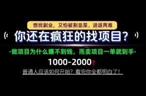 你还在疯狂的找项目?别傻了!卖项目才是真正的一本万利!怎么做,看完你全都明白!【揭秘】-第一资源库