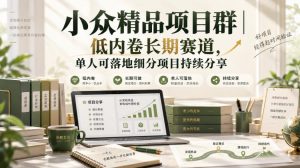 小众精品项目群｜低内卷长期赛道，单人可落地细分项目持续分享-第一资源库