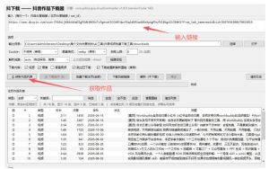 抖音批量视频下载工具,一键下载高清无水印视频,到手就能用-第一资源库