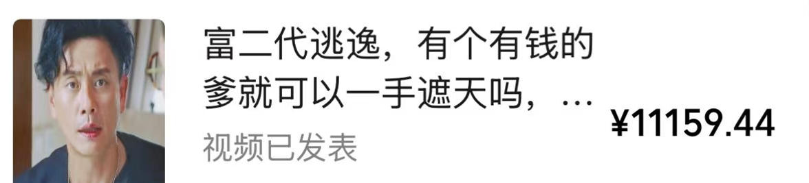 视频号某大佬的影视搬运教学，纯手法操作，可以多个平台可以发布，撸分成计划+伙伴计划+光合计划收益等-第一资源库