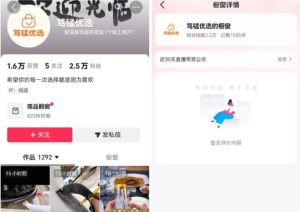 无需实拍也能做好抖音车载带货项目,收益非常稳定,每天坚持发就可以!-第一资源库